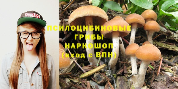 амф Зерноград