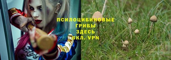 амф Зерноград