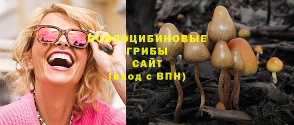 амф Зеленодольск