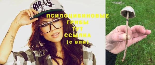 амф Зерноград