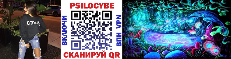 Купить где Ефремов Псилоцибиновые грибы Magic Shrooms